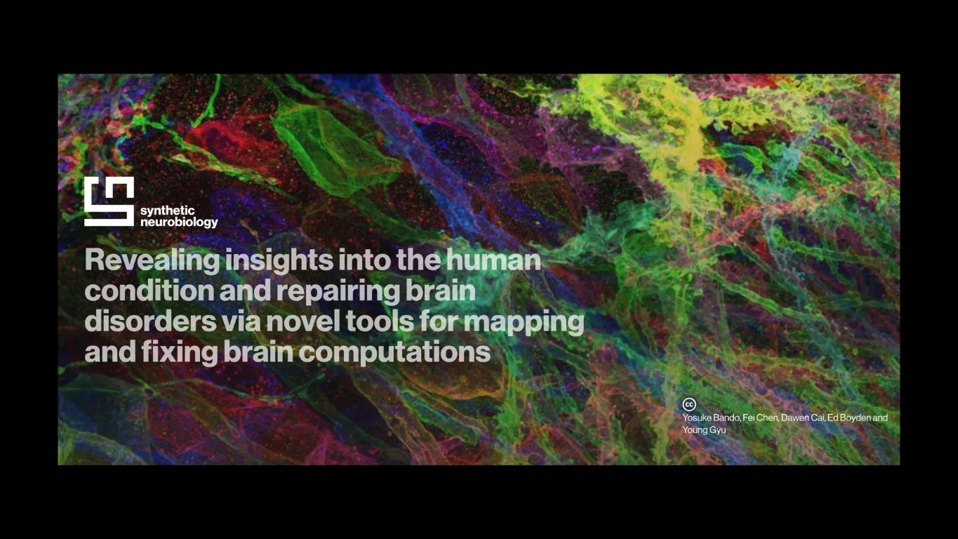 Synthetic Neurobiology Groupの脳機能研究を紹介する図