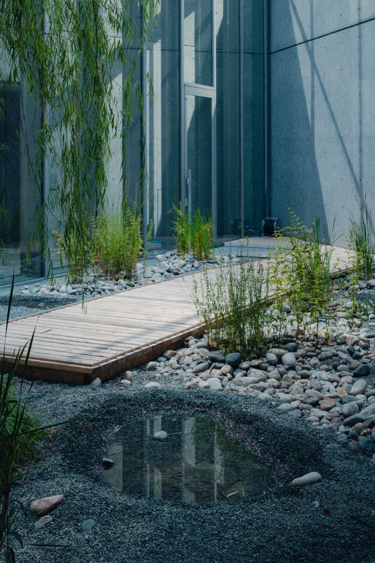 植栽と水辺を取り入れた建築の中庭